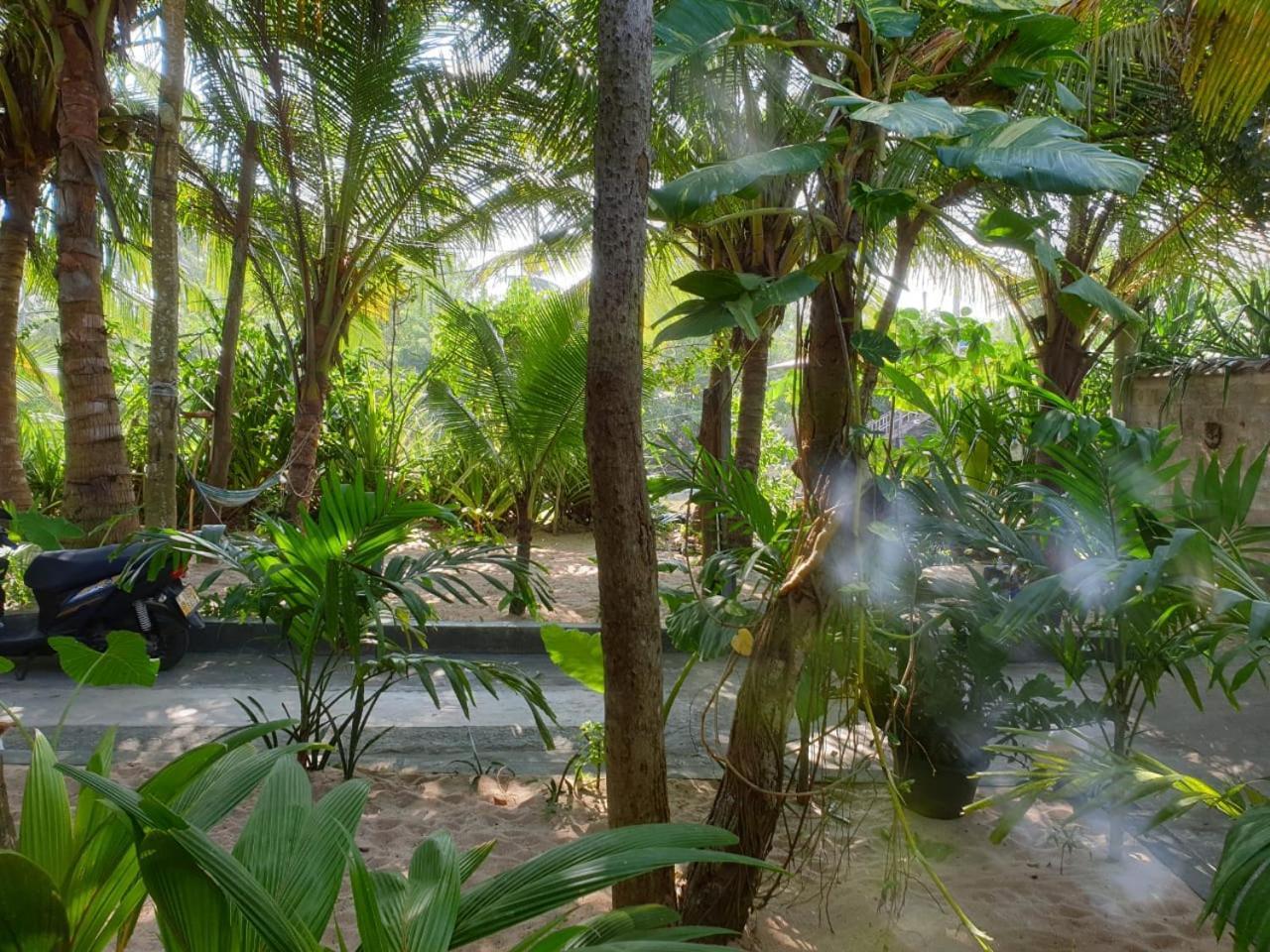Gems Garden Guest House Tangalle Exterior foto